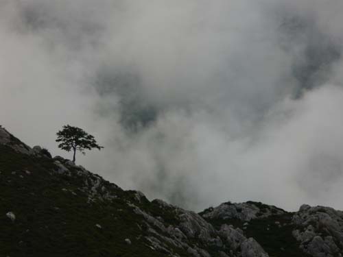 Picos_de_Europa_522