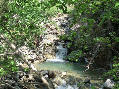 Pyrenaeen_Aigues-Tortes_011