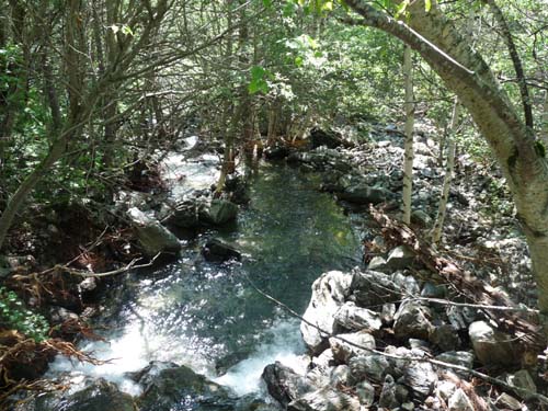 Pyrenaeen_Aigues-Tortes_012