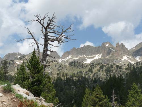 Pyrenaeen_Aigues-Tortes_042