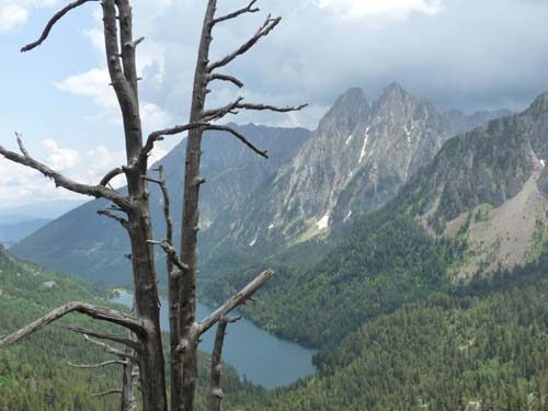 Pyrenaeen_Aigues-Tortes_050