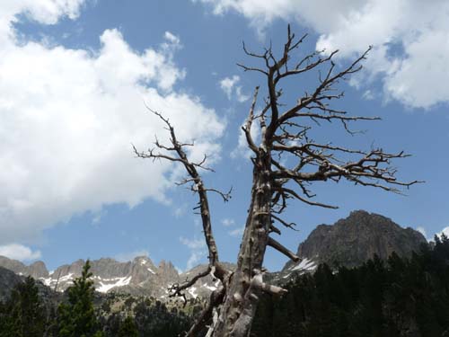 Pyrenaeen_Aigues-Tortes_057