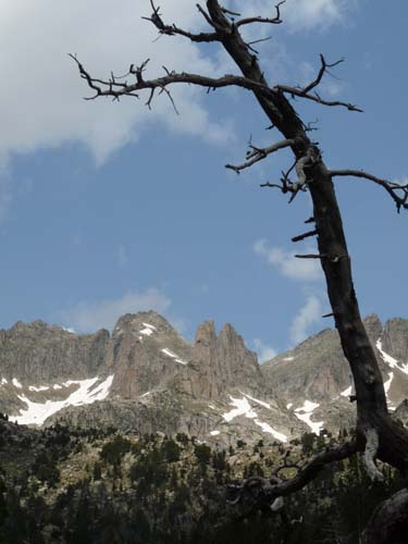 Pyrenaeen_Aigues-Tortes_058
