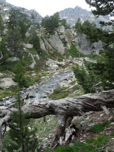 Pyrenaeen_Aigues-Tortes_061