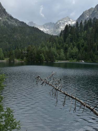 Pyrenaeen_Aigues-Tortes_095
