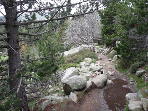 Pyrenaeen_Rifugio-Malniu_007