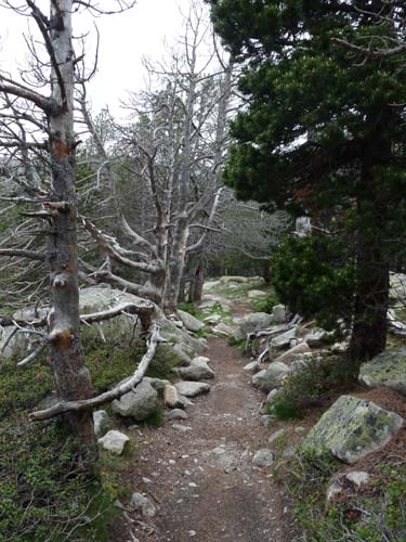 Pyrenaeen_Rifugio-Malniu_008