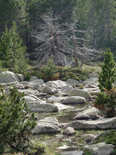 Pyrenaeen_Rifugio-Malniu_036