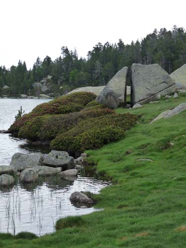 Pyrenaeen_Rifugio-Malniu_047