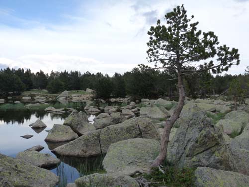 Pyrenaeen_Rifugio-Malniu_057