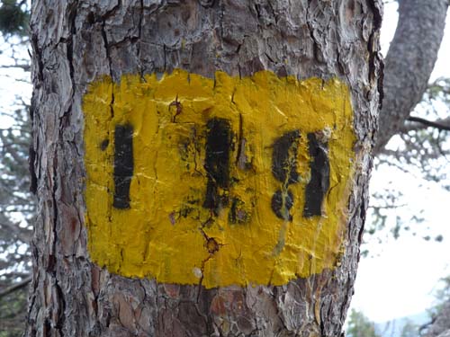 Pyrenaeen_Rifugio-Malniu_058