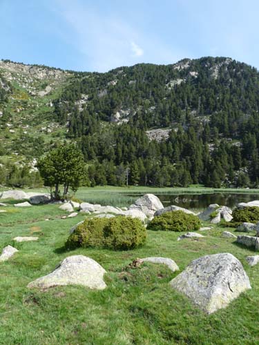 Pyrenaeen_Rifugio-Malniu_073