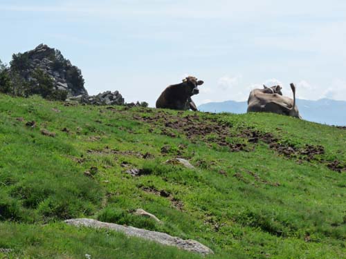 Pyrenaeen_Rifugio-Malniu_075