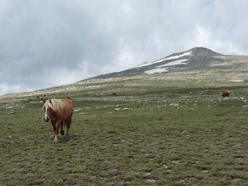 Pyrenaeen_Rifugio-Malniu_084