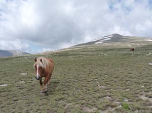 Pyrenaeen_Rifugio-Malniu_086
