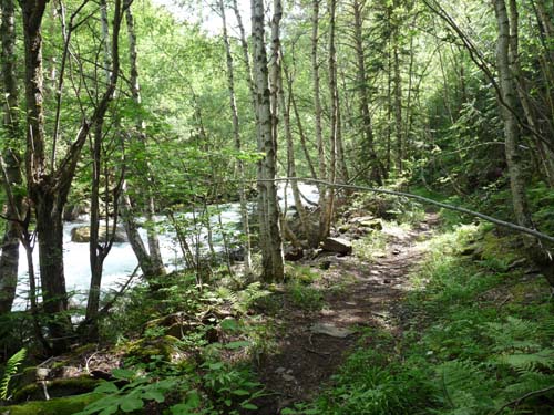 Vallferrera_Pla-de-la-Selva_003