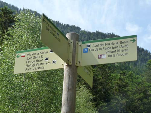 Vallferrera_Pla-de-la-Selva_011