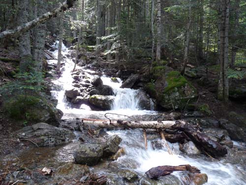 Vallferrera_Pla-de-la-Selva_014