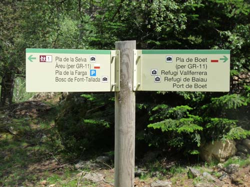 Vallferrera_Pla-de-la-Selva_022