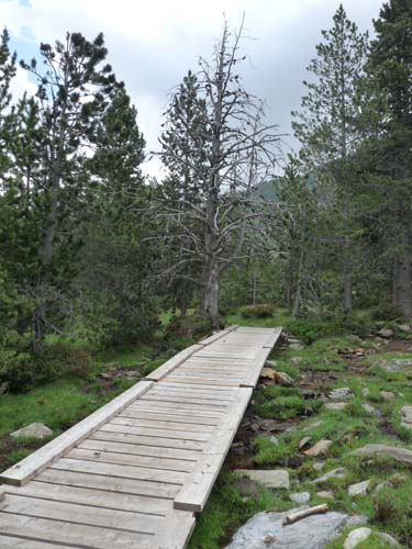 Vallferrera_Pla-de-la-Selva_047