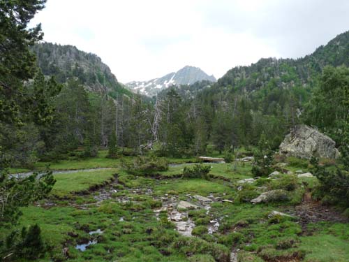 Vallferrera_Pla-de-la-Selva_051