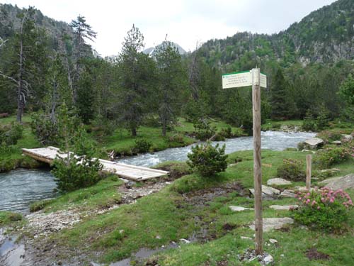 Vallferrera_Pla-de-la-Selva_052