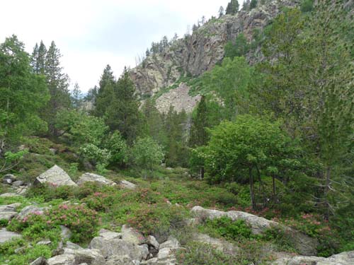 Vallferrera_Pla-de-la-Selva_059