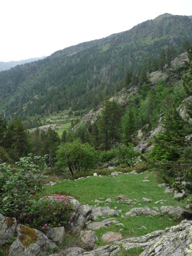 Vallferrera_Pla-de-la-Selva_066