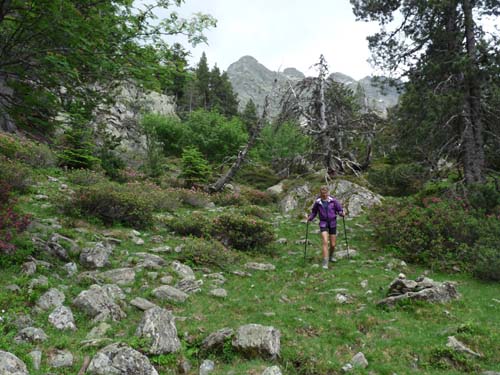 Vallferrera_Pla-de-la-Selva_069