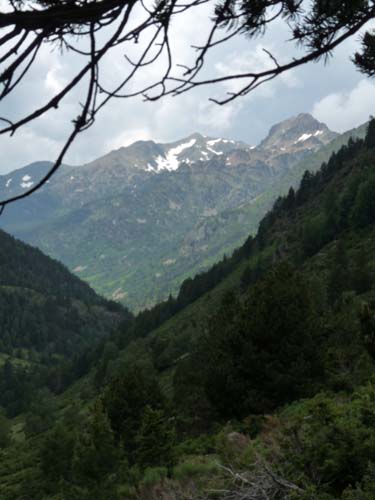 Vallferrera_Pla-de-la-Selva_073