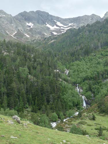 Vallferrera_Pla-de-la-Selva_075