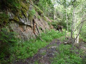 Vallferrera_Pla-de-la-Selva_001