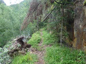 Vallferrera_Pla-de-la-Selva_002