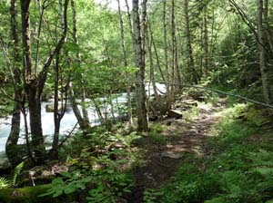 Vallferrera_Pla-de-la-Selva_004