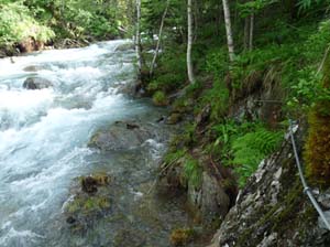 Vallferrera_Pla-de-la-Selva_005