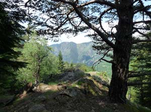 Vallferrera_Pla-de-la-Selva_015