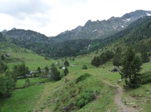 Vallferrera_Pla-de-la-Selva_023