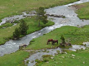 Vallferrera_Pla-de-la-Selva_028