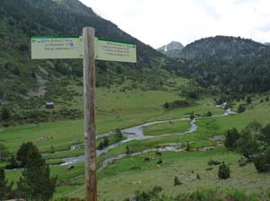 Vallferrera_Pla-de-la-Selva_034