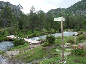 Vallferrera_Pla-de-la-Selva_052