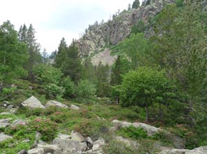 Vallferrera_Pla-de-la-Selva_059