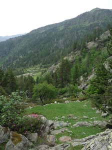 Vallferrera_Pla-de-la-Selva_066