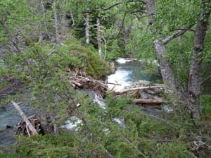 Vallferrera_Pla-de-la-Selva_076