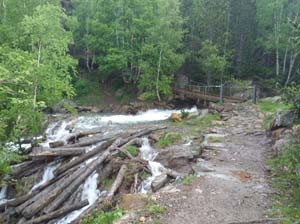 Vallferrera_Pla-de-la-Selva_077