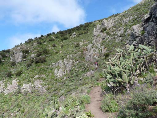 Teneriffa-Wandern-494-Bacaran-Teno-Alto
