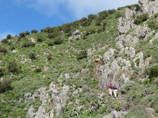 Teneriffa-Wandern-495-Bacaran-Teno-Alto