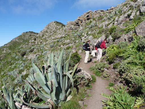 Teneriffa-Wandern-497-Bacaran-Teno-Alto