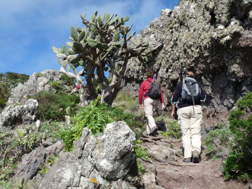 Spanien Teneriffa Wandern