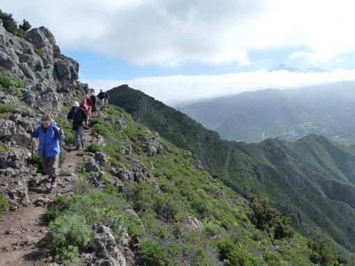 Teneriffa-Wandern-507-Bacaran-Teno-Alto