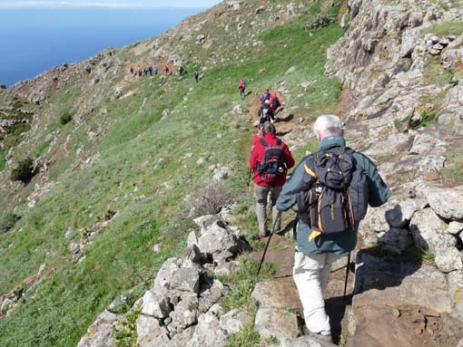 Teneriffa-Wandern-520-Bacaran-Teno-Alto